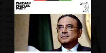 Asif Ali Zardari stresses importance of following constitutional norms for delimitation of constituencies